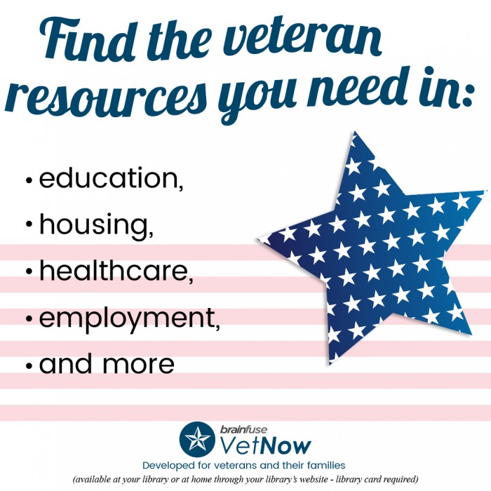 VetNow-VeteranResources18-700x700.jpg